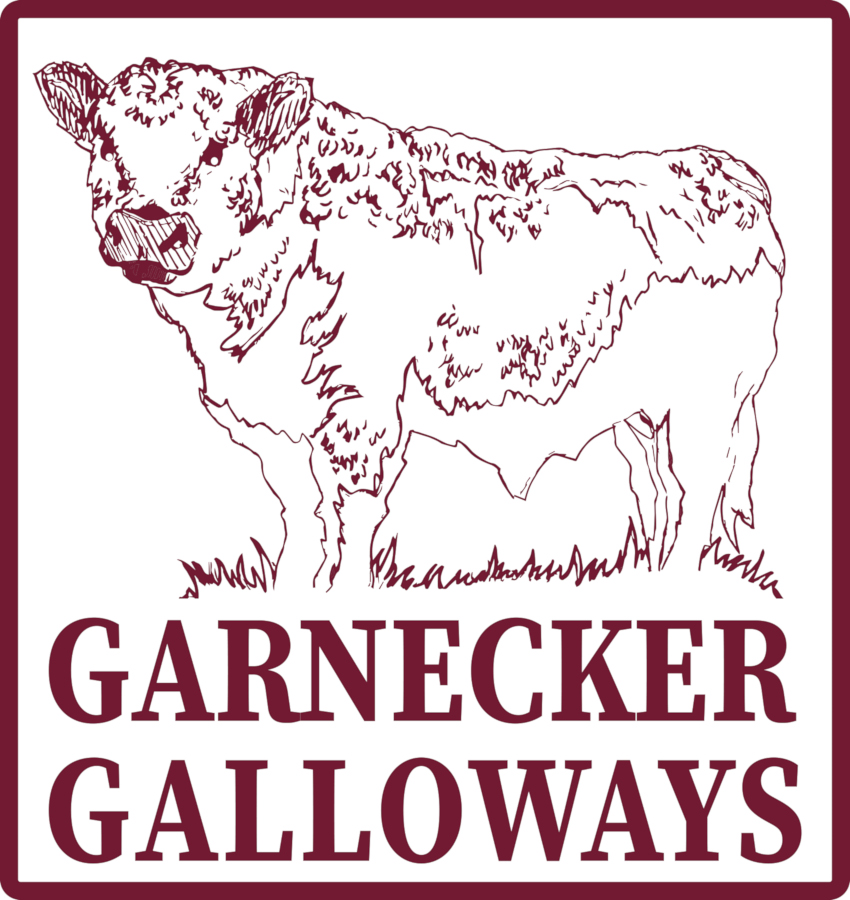 GARNECKER 