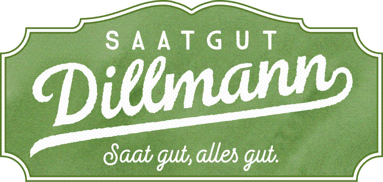 DILLMANN